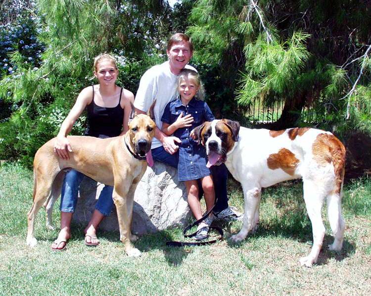 Saint Bernards at Gentle Giants Rescue and Adoptions - Photos, Stories ... Saint Bernards at Gentle Giants Rescue and Adoptions - Photos, Stories ...